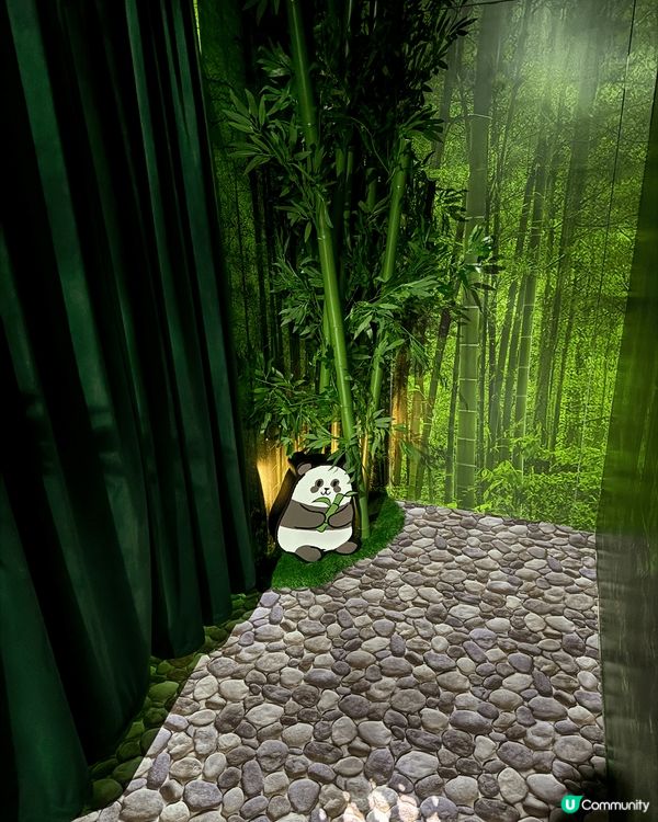 海洋公園有個新景點，叫做大熊貓「竹」夢之旅，沉浸式體驗大熊貓...