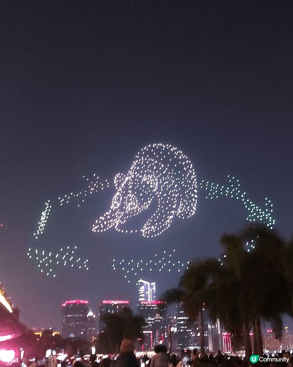 西九首次上演3D立體熊貓無人機加煙花匯演，最深刻一幕係海洋公...