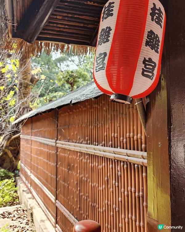 聖誕去左深圳世界之門窗之旅，好似去左日本，又好似去左巴黎。