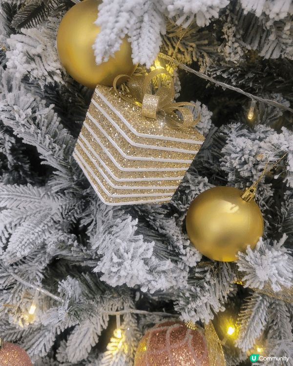 今個聖誕無太多假期，無辦法去好遠旅行，可以考慮去深圳兩日一夜...