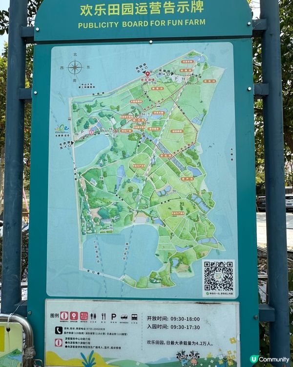 光明歡樂田園-油菜花田