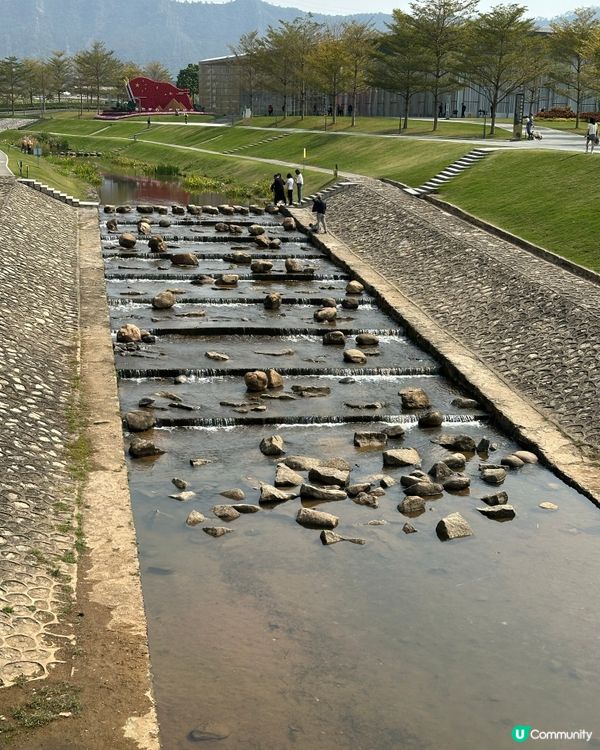 光明歡樂田園-油菜花田