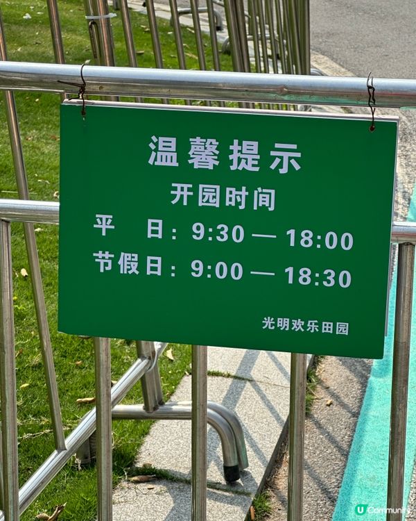 光明歡樂田園-油菜花田