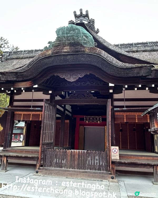 住吉大社💕先收集五大力護身石。釣綢魚御神籤。再去搵可愛招福貓