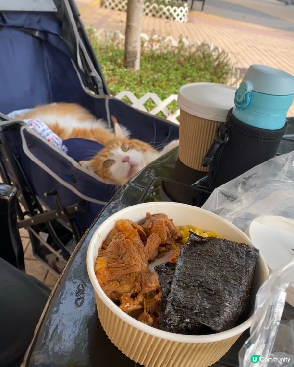 帶住主子去郊游