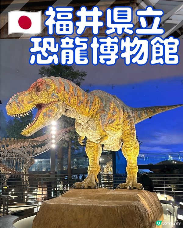 🇯🇵福井縣立🦖恐龍博物館體驗超正!太!震!撼!了!