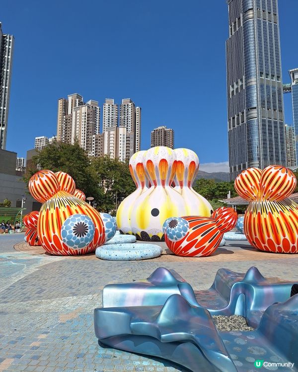 ## 人生下半場，點樣搵到成功專長？ 🤔