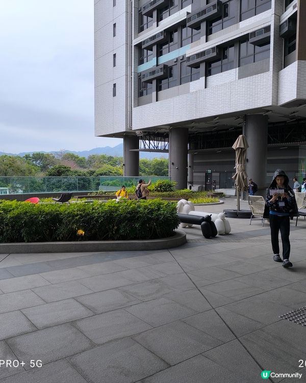 保良局李兆基亞洲青年綠洲開放日