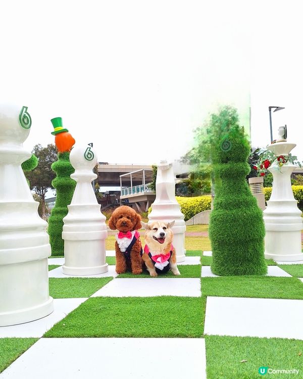 綠在觀塘