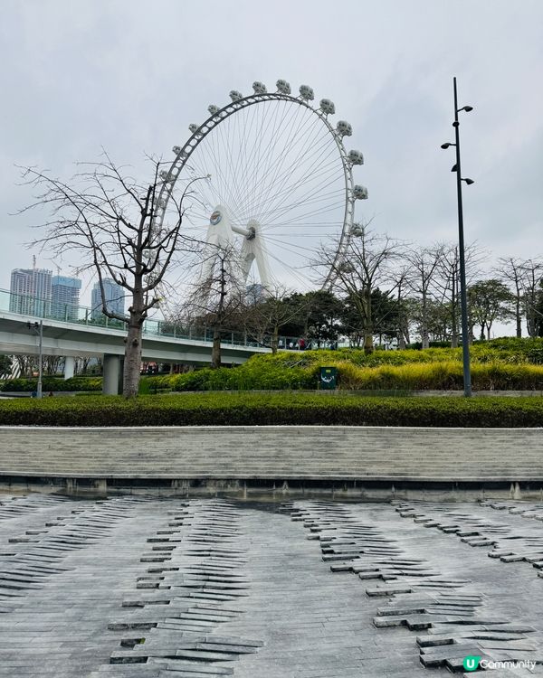 深圳美食 | 米梳·舒芙蕾 | 梳乎厘又滑又彈手