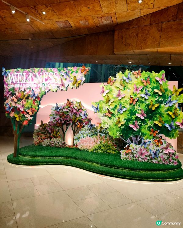 🌸🦋新打卡點！朗豪坊辦公大樓，花 & 蝴蝶世界佈景！🤩