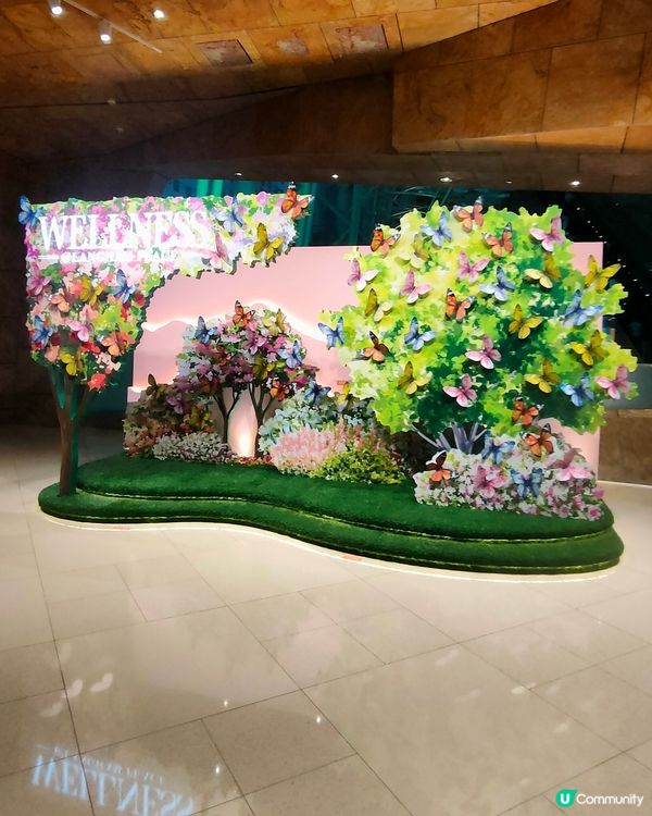 🌸🦋新打卡點！朗豪坊辦公大樓，花 & 蝴蝶世界佈景！🤩