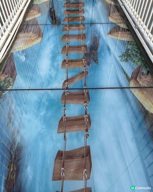 ✨✨東莞龍鳳山莊3 D玻璃鵲橋✨✨