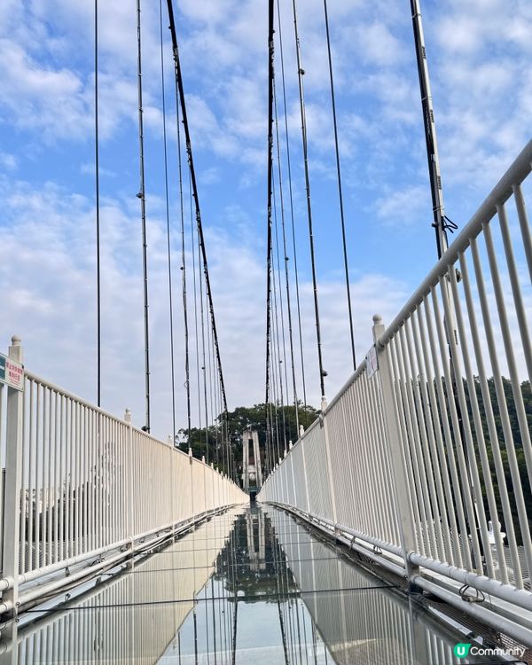 ✨✨東莞龍鳳山莊3 D玻璃鵲橋✨✨