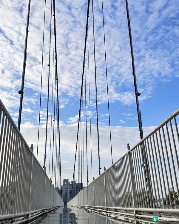 ✨✨東莞龍鳳山莊3 D玻璃鵲橋✨✨