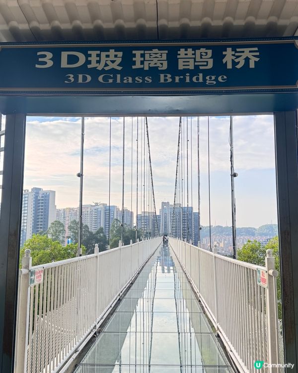 ✨✨東莞龍鳳山莊3 D玻璃鵲橋✨✨