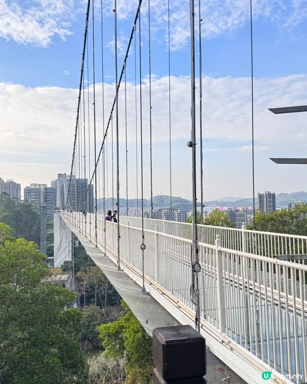 ✨✨東莞龍鳳山莊3 D玻璃鵲橋✨✨