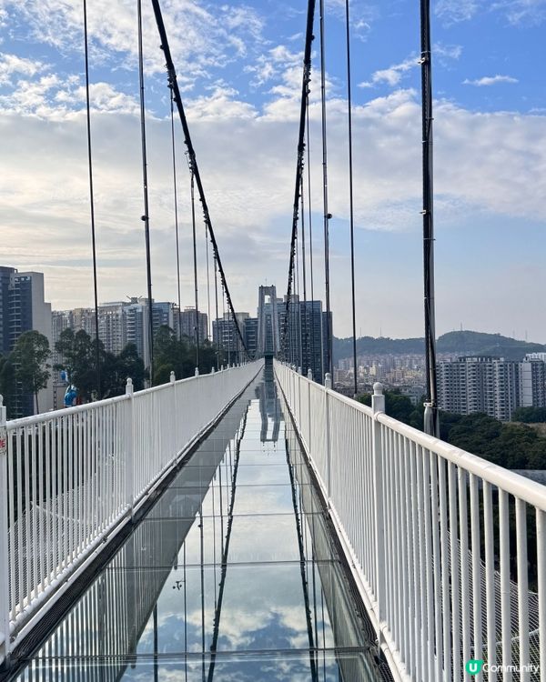 ✨✨東莞龍鳳山莊3 D玻璃鵲橋✨✨