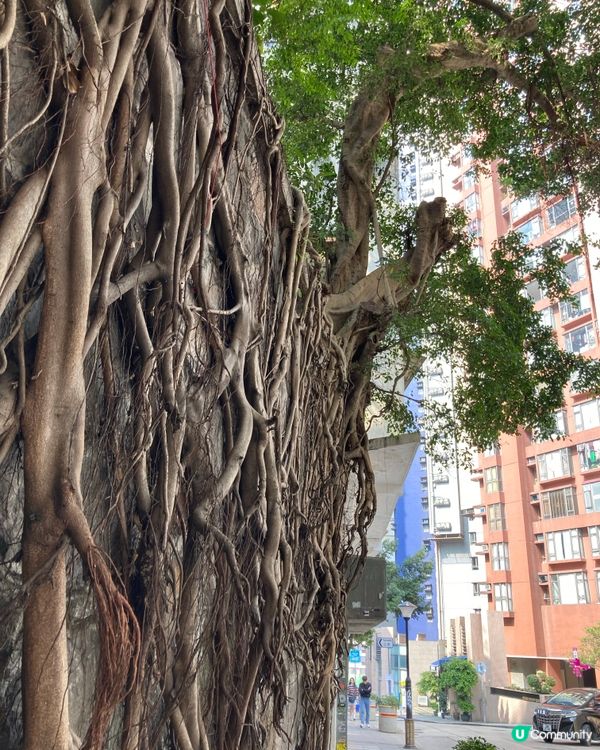 香港歴史文化