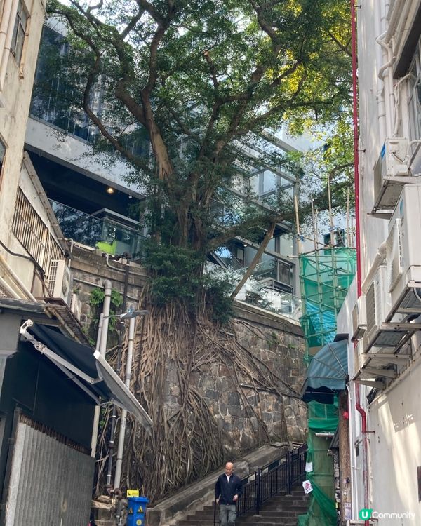 香港歴史文化