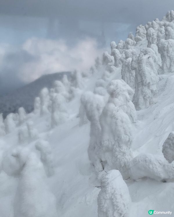 青森縣➡️八甲田山