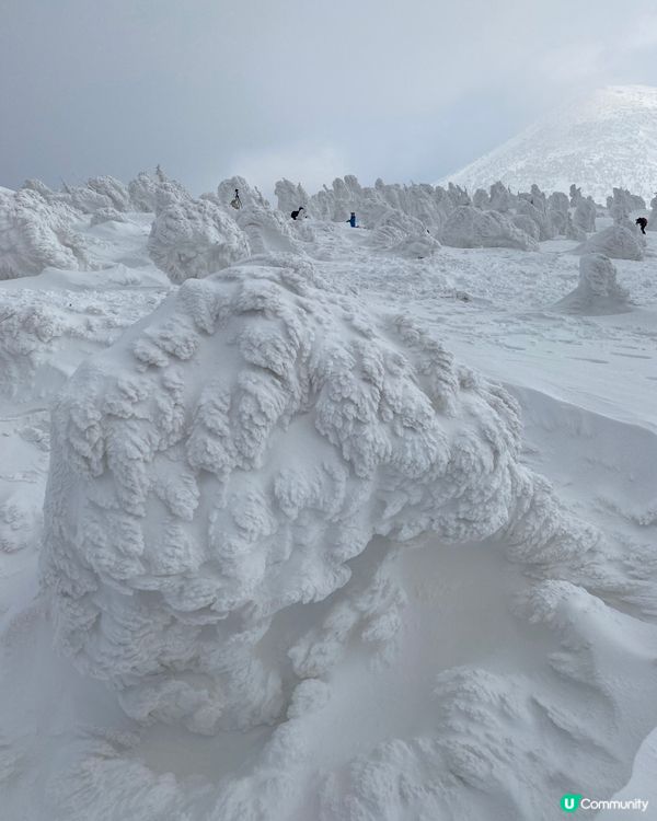 青森縣➡️八甲田山