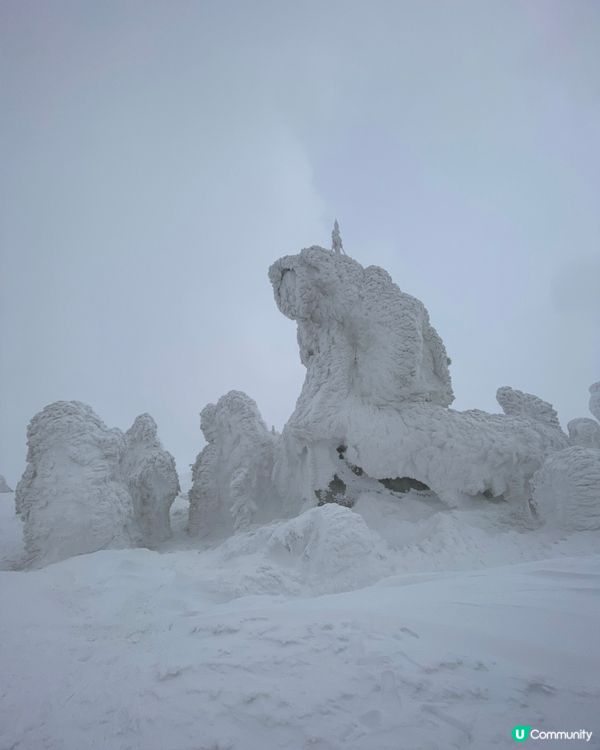 青森縣➡️八甲田山