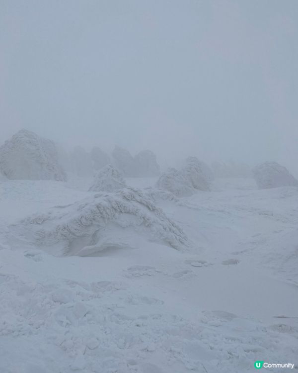 青森縣➡️八甲田山