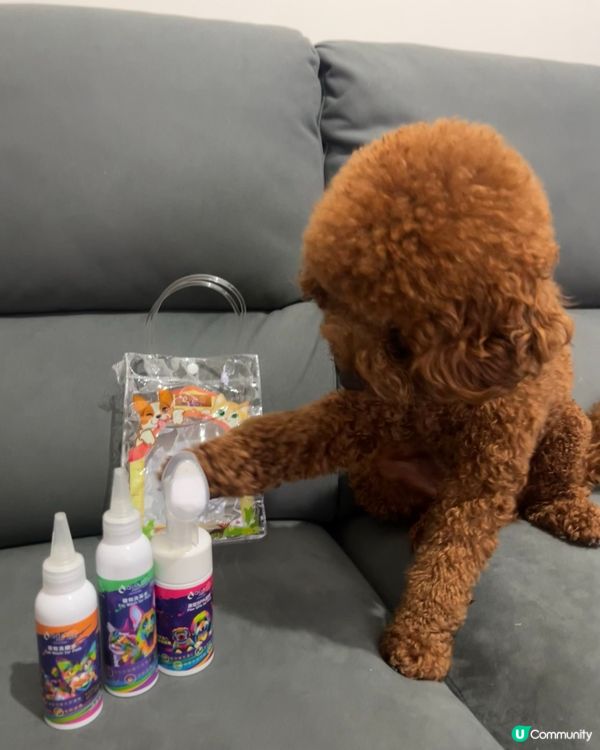 🐾腳掌潔護泡泡，洗腳新體驗！🤩