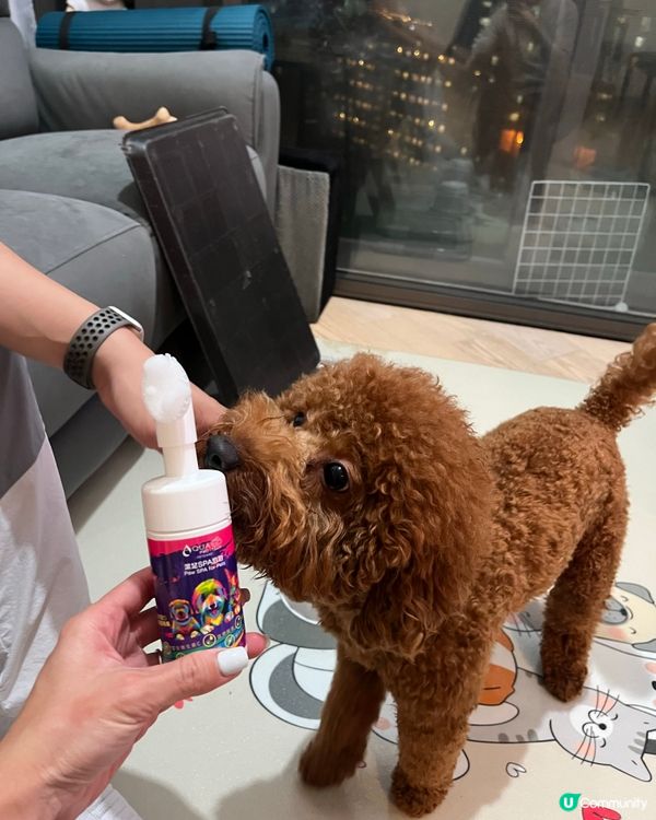 🐾腳掌潔護泡泡，洗腳新體驗！🤩