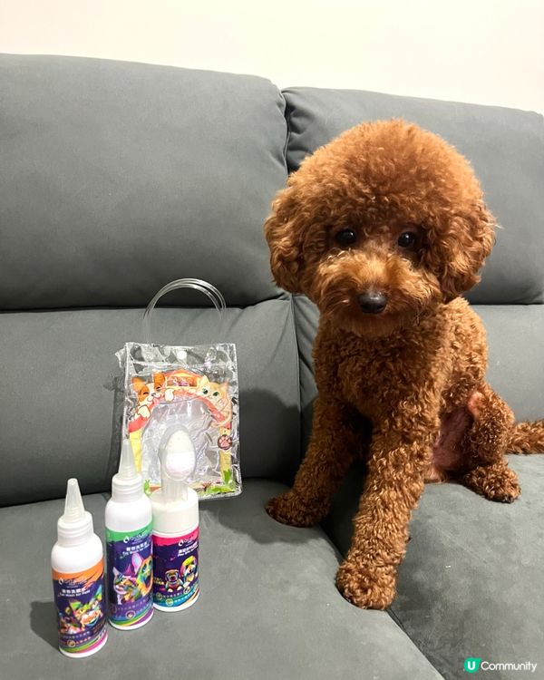 🐾腳掌潔護泡泡，洗腳新體驗！🤩