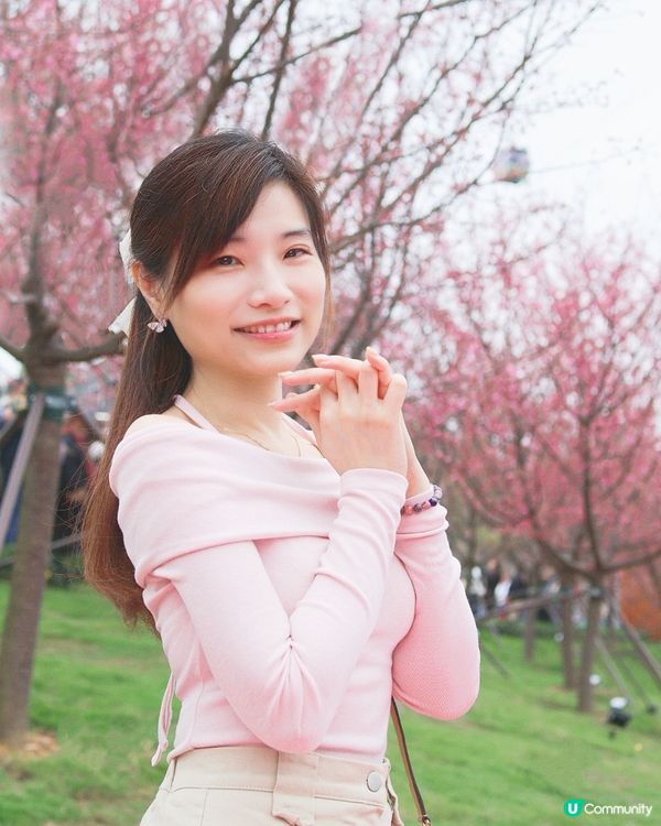 櫻花海岸🌸賞花攻略