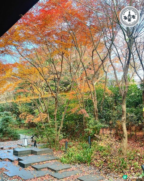 任食魚生飯😝 豪華自助早餐體驗!☀️🍳