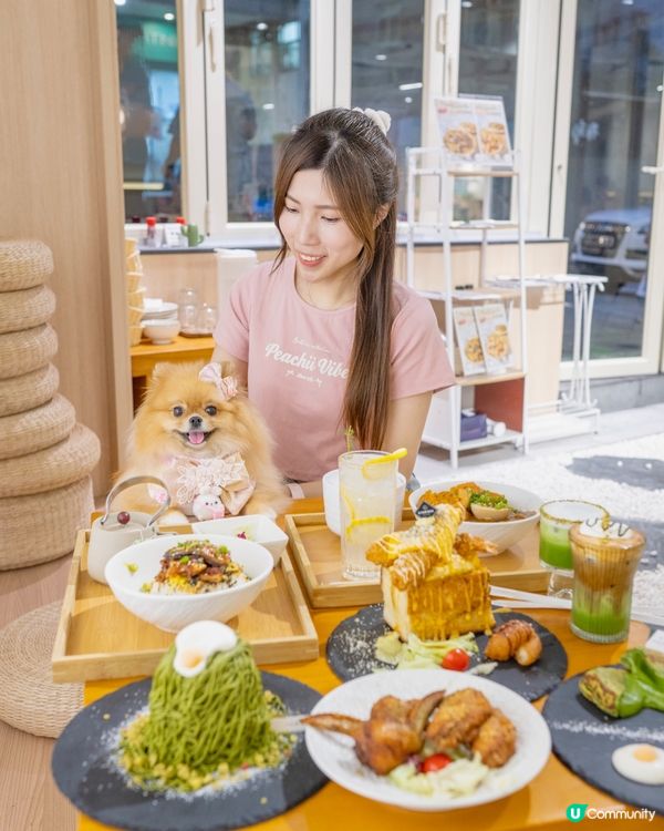 西環雞蛋主題日式寵物友善Cafe🍳