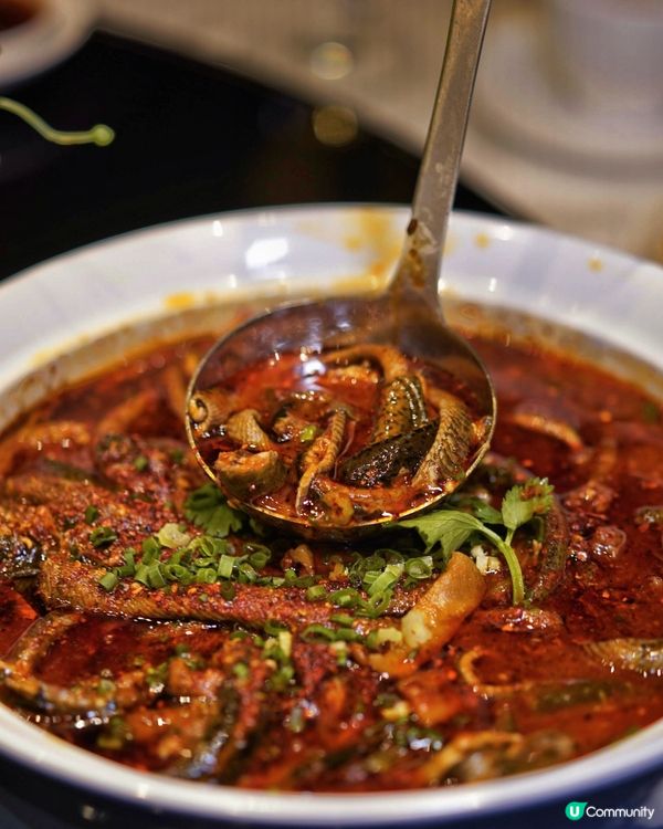 上環誠信大廈江蘇銘悅：傳統川菜嘅華麗變奏 🎼