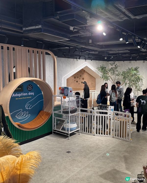 歎塊 pizza . 放 半天假 