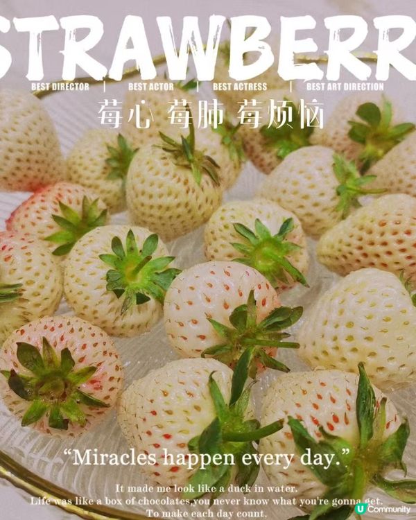 非常好吃的食物，