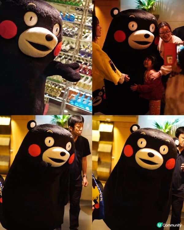 尖沙咀雲海日本料理 🐻  熊本熊現身！🤩