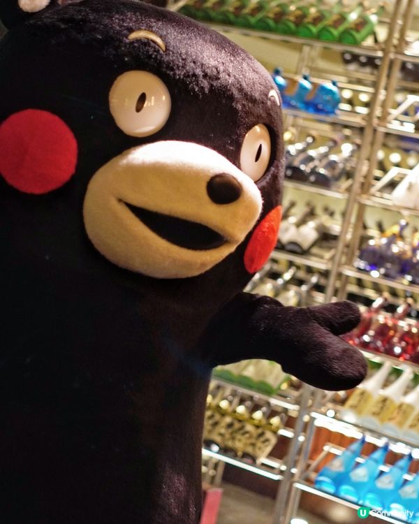 尖沙咀雲海日本料理 🐻  熊本熊現身！🤩