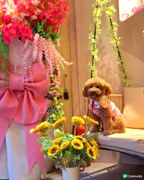 ## 老媽(🦀)邂您，蟹粉拌麵！🤤