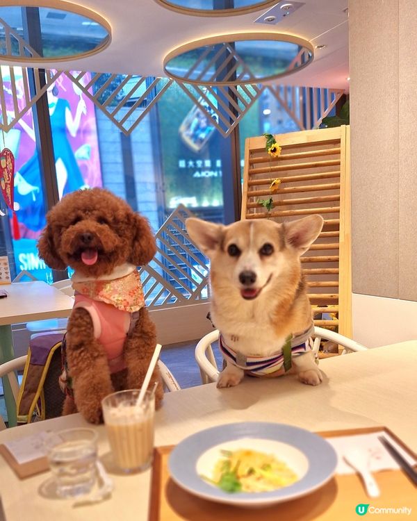 ## 老媽(🦀)邂您，蟹粉拌麵！🤤