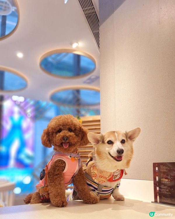 ## 老媽(🦀)邂您，蟹粉拌麵！🤤