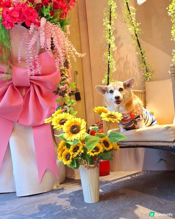 ## 老媽(🦀)邂您，蟹粉拌麵！🤤