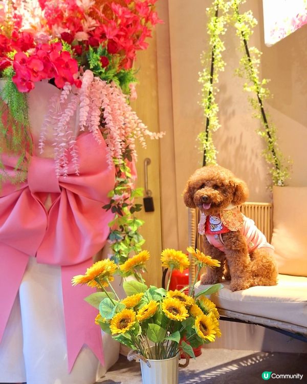 ## 老媽(🦀)邂您，蟹粉拌麵！🤤