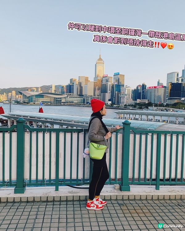 Museum Cafe at Pier 8🍰☕