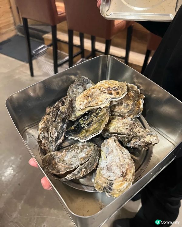 叔叔話想食蠔🦪  即刻帶佢去食！估唔到咁正🤤