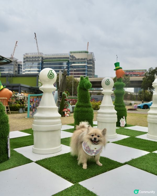 大嘥鬼｢尋找愛麗B｣互動打卡花園