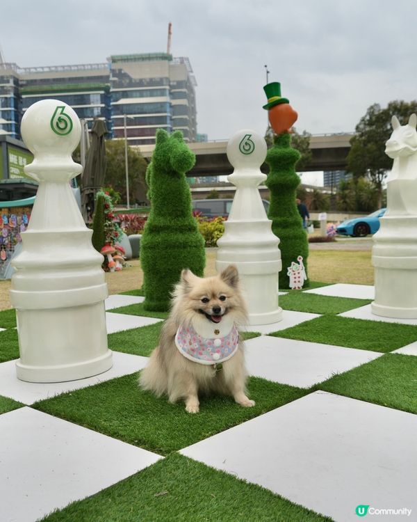 大嘥鬼｢尋找愛麗B｣互動打卡花園
