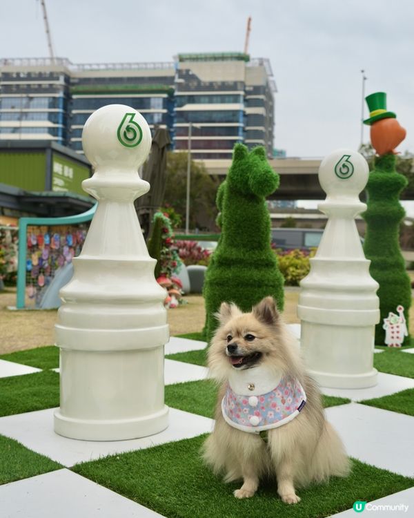 大嘥鬼｢尋找愛麗B｣互動打卡花園