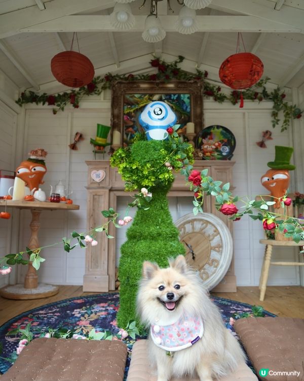 大嘥鬼｢尋找愛麗B｣互動打卡花園